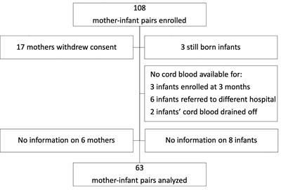 Repertoire of Naturally Acquired Maternal Antibodies Transferred to Infants for Protection Against Shigellosis